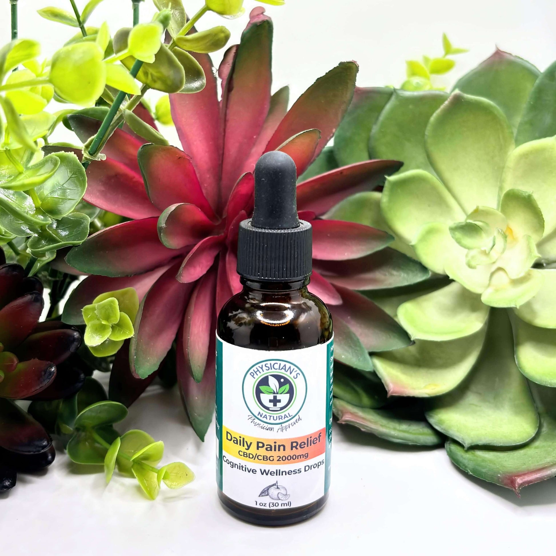 Amber-colored bottle with gradient yellow and orange label, 2000 mg CBD Daily Pain Relief Cognitive Wellness Drops, surrounded by succulent plants