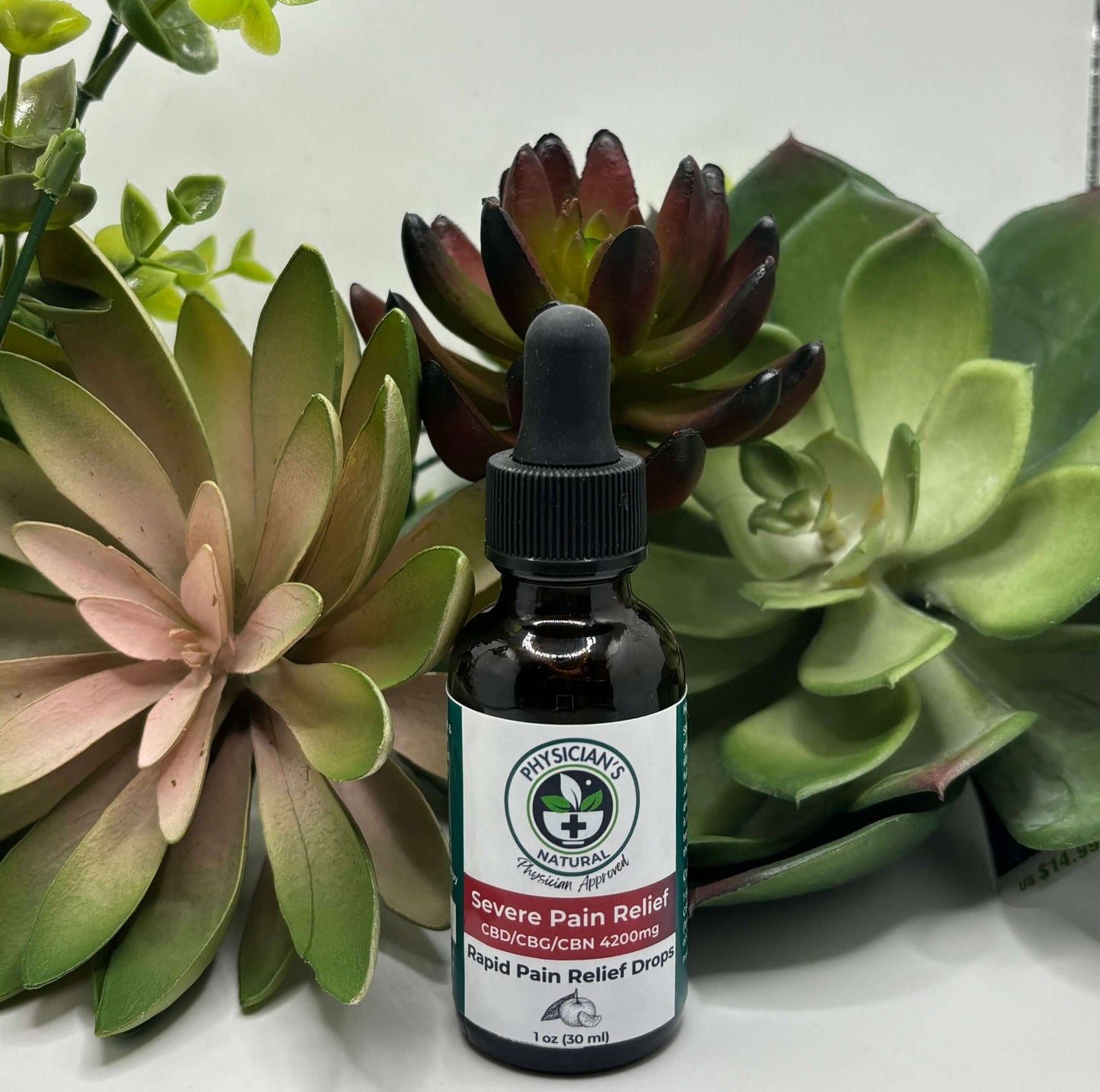 Amber-colored bottle with gradient red and maroon label, 4200 mg CBD, CBG and CBN Severe Pain Relief - Rapid Pain Relief Drops, surrounded by succulent plants