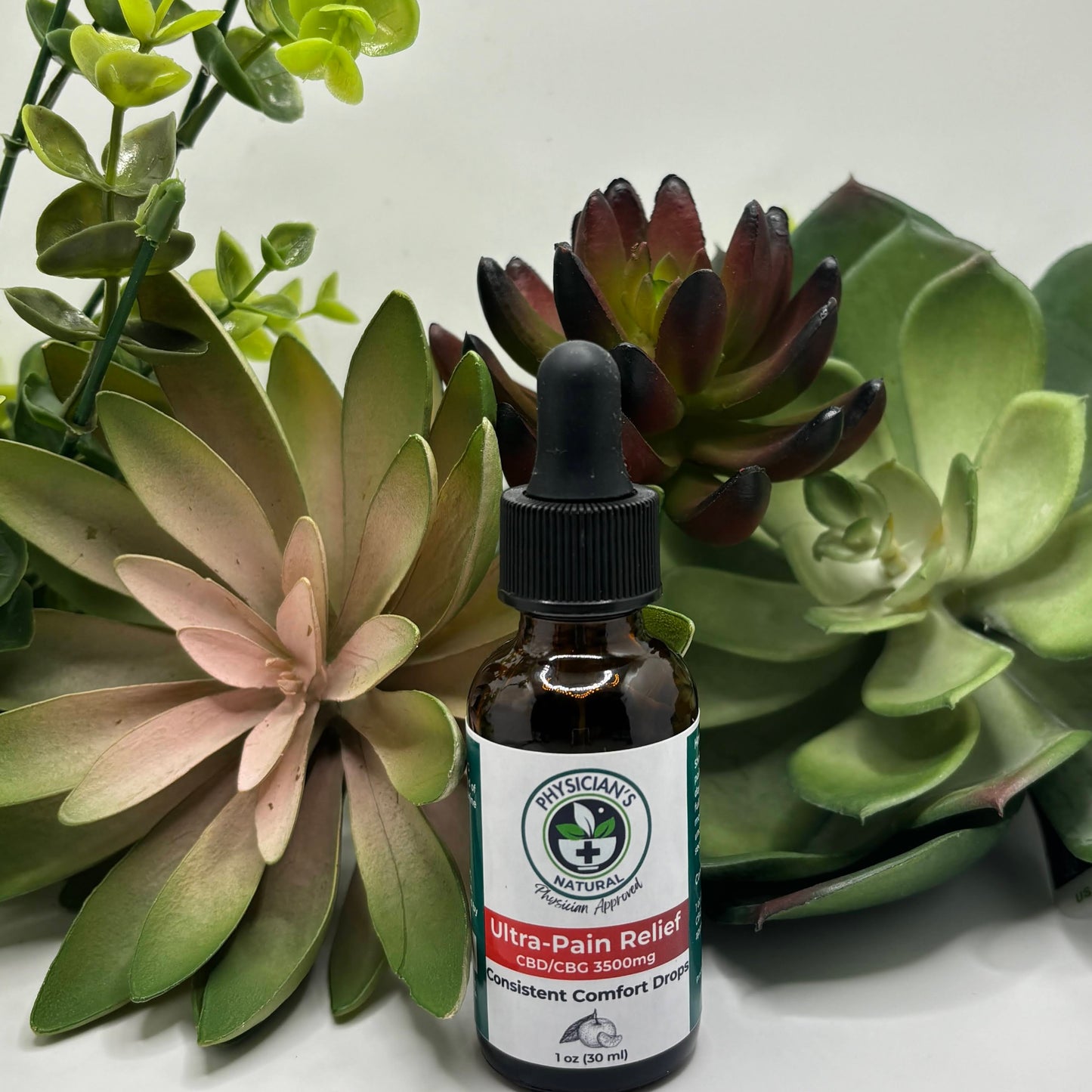 Amber-colored bottle with gradient red label, 3500 mg CBD and CBG Ultra-Pain Relief - Consistent Comfort Drops, surrounded by succulent plants.